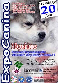 AFICHE